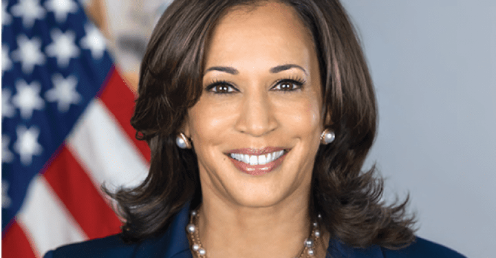 Kamala Harris Delivers Forceful Speech at DNC, Targeting Trump and Highlighting Patriotism