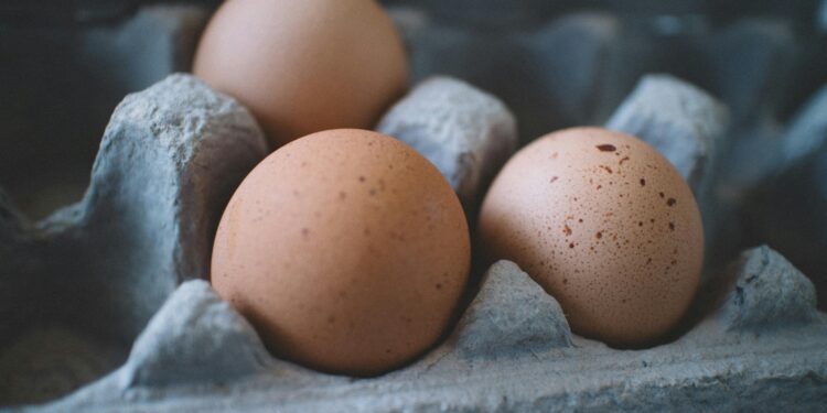 Eggs Recalled Amid Multistate Salmonella Outbreak
